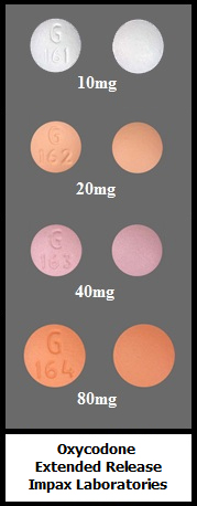 oxycodone extended-release tablets 10mg 20mg 40mg 80mg generic Impax